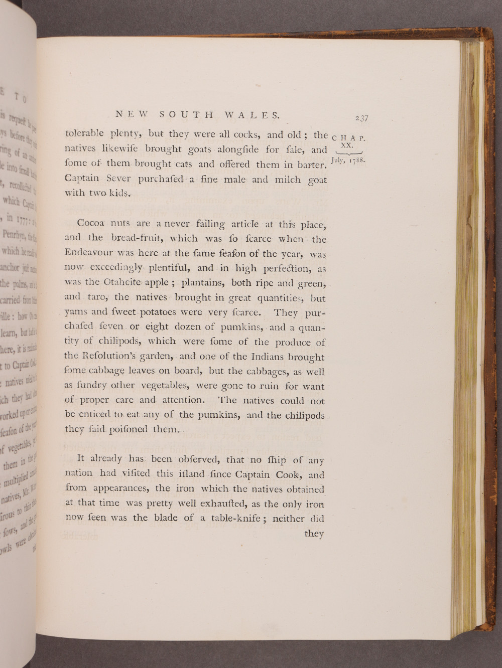 Page 237